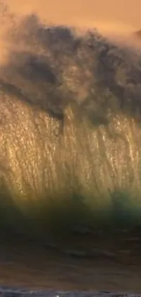 This live phone wallpaper depicts a man surfing a wave on his board amidst a surreal background of glittering gold water refractions and nature documentary footage