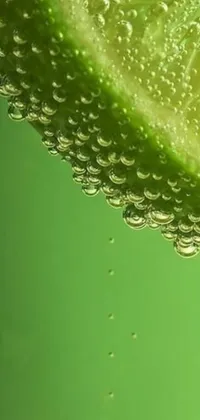 This lively lime phone live wallpaper features a realistic and juicy lime slice in water, surrounded by bubbles and a beautiful green skin tone