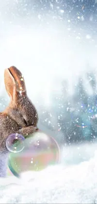 This live wallpaper for your phone features an adorable bunny sitting in the snow with a bubble in its mouth