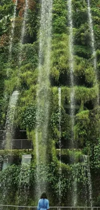 Water Grass Wood Live Wallpaper