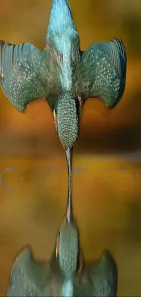 Water Green Beak Live Wallpaper