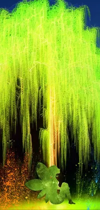 Water Green Botany Live Wallpaper