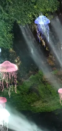Experience the wonders of a magical jungle setting with this stunning phone live wallpaper