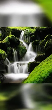 Water Green Nature Live Wallpaper