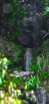 This live wallpaper features a breathtaking waterfall located in the heart of a green and lush forest
