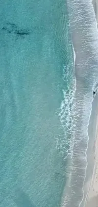 Experience the serenity of a large body of water and sandy beach with this phone live wallpaper