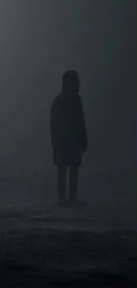 This stunning phone live wallpaper features a mysterious figure standing amidst the dense fog of a serene field