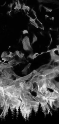 This stunning black and white live wallpaper features a captivating image of smoke and trees, intricately combined with swirling fire, a digital rendering, molten plastic, and cosmos