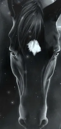Water Horse Jaw Live Wallpaper