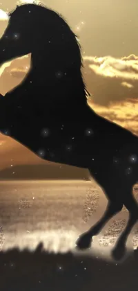 Bring your phone to life with this stunning live wallpaper! Featuring a beautiful silhouette of a horse standing majestically on its hind legs, this wallpaper is a work of art