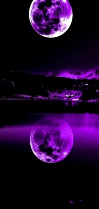 Water Indoor Purple Live Wallpaper