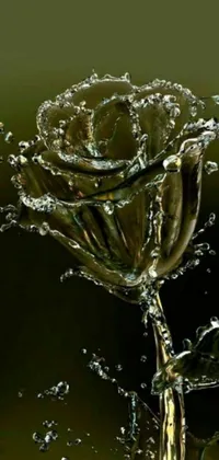 This surrealistic phone live wallpaper showcases a unique scene of a water flower in close up