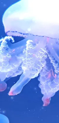 Water Jellyfish Marine Invertebrates Live Wallpaper