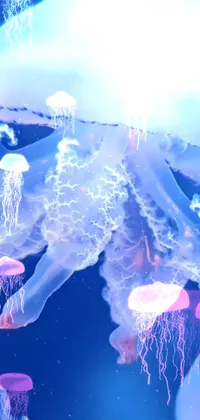 Immerse yourself in an aquatic wonderland with this mesmerizing phone live wallpaper