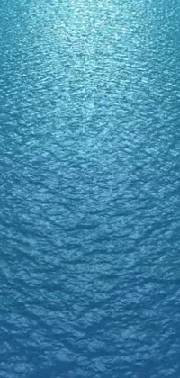 Water Lake Blue Live Wallpaper