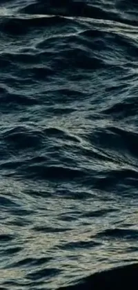 Enjoy an immersive experience with this phone live wallpaper featuring a person surfing on dark ocean waters