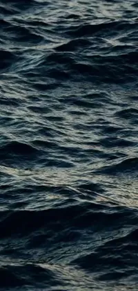 This phone live wallpaper showcases a stunning scene of a bird flying over a body of water, with a dark ocean water background featuring a wavy pattern