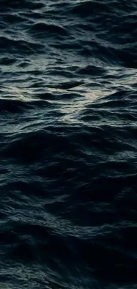 This mobile live wallpaper brings the beauty of water to your screen