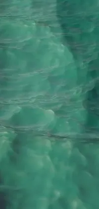 Experience the thrill of the ocean with this stunning live wallpaper for your phone