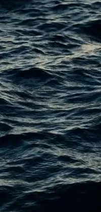 This captivating phone live wallpaper features a mesmerizing close-up of a body of water with gentle waves, showcasing a deep, dark sea-inspired palette
