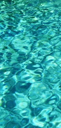 This phone live wallpaper features a pool full of clear blue water with greenish blue tones, dappled by sunlight and small waves