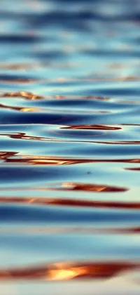 Looking for a gorgeous live wallpaper for your phone? Look no further than this close-up of a tranquil body of water