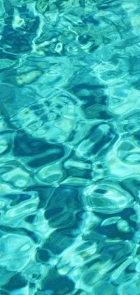 The tranquil phone live wallpaper displays a digital artwork of a pool filled with blue water