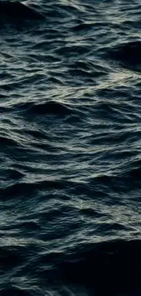 This phone live wallpaper depicts a breathtaking scene of a bird flying over a body of water