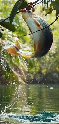 This phone live wallpaper showcases a stunning image of a fish jumping out of the water to catch its prey