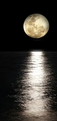 This stunning live wallpaper captures the breathtaking beauty of a full moon rising over a body of water