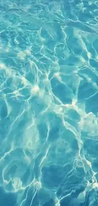 This phone live wallpaper showcases a stunning body of water with a frisbee at its center