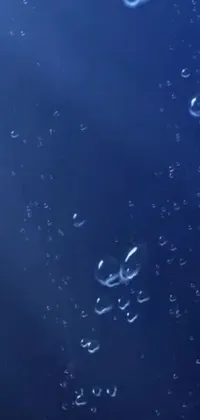 This stunning live wallpaper features a group of colorful bubbles floating on a dark blue water surface