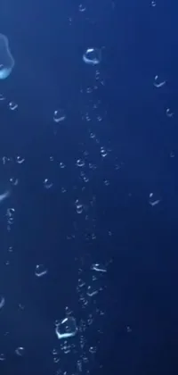 Take a deep-sea plunge with our Mariana Trench live wallpaper for your phone