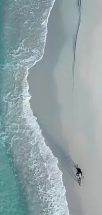 Enjoy the excitement of the surf with this dynamic phone live wallpaper! View a professional surfer riding a wave on a beautiful sandy beach, captured from a helicopter in an overhead view