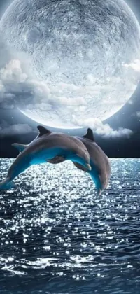 Impress your friends with this phone live wallpaper that features two dolphin friends frolicking in the ocean waters under a full moon