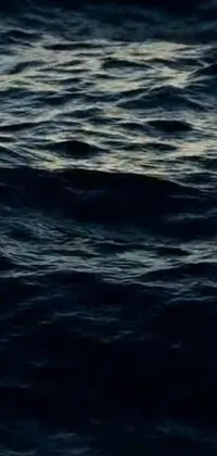 This phone live wallpaper features a video art showcasing a close-up of rippling waves on a body of water at night