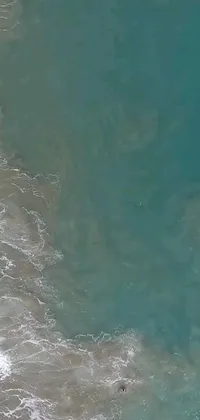 This live wallpaper features a man riding a surfboard on top of a stunning sandy beach, captured in a top-down perspective overlooking crystal clear turquoise water
