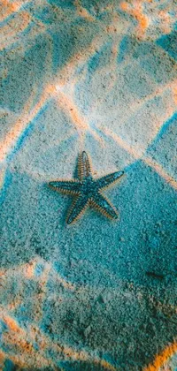This phone live wallpaper features a vivid beach scene with a starfish sitting on top, creating a mystical atmosphere