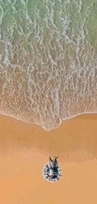 Experience the beauty of the coast with this dynamic live wallpaper! Watch as a skilled surfer rides the waves, carving a path across the sandy beach below