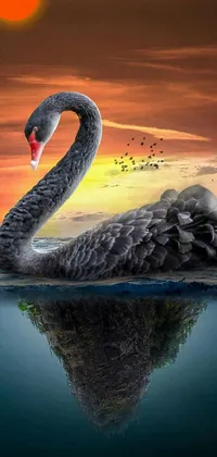 Water Landscape Bird Live Wallpaper