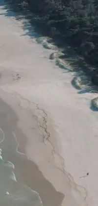 This live wallpaper showcases a group of people on a tranquil beach adjacent to the vast ocean