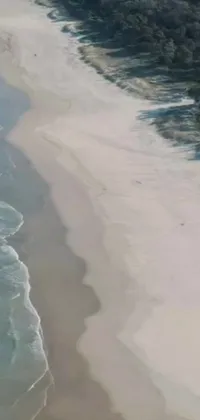 This live wallpaper showcases a peaceful and scenic body of water with a sandy beach