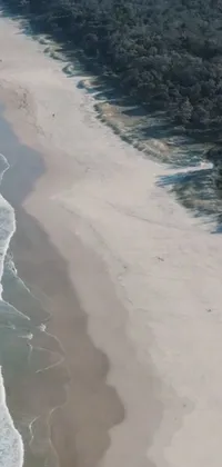 Enjoy the serene and stunningly beautiful view of a large body of water next to a sandy beach on the Gold Coast of Australia with this phone live wallpaper