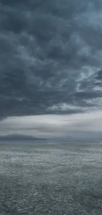 This phone live wallpaper features a vast body of water under a cloudy sky, creating a brooding and eerie atmosphere