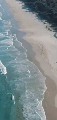 This live wallpaper showcases a serene scene of a vast ocean next to a sandy shoreline on the South African coast
