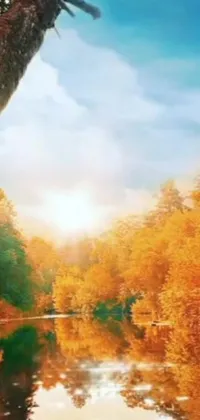 This live wallpaper showcases a tranquil river flowing through a picturesque forest at sunset