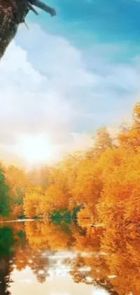 This live wallpaper showcases a breathtaking forest scenery where a meandering river flows through lush green foliage during the autumn season