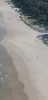 This phone live wallpaper showcases a serene beach in Gold Coast, Australia