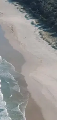 This phone live wallpaper depicts a beautiful beach with a large body of water in front