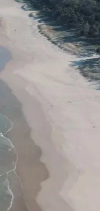This phone live wallpaper showcases a breathtaking aerial view of a beach on a sun coast